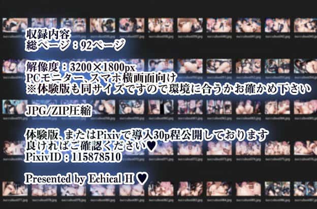 収録内容-総ページ：92ページ　解析度などが紹介されている