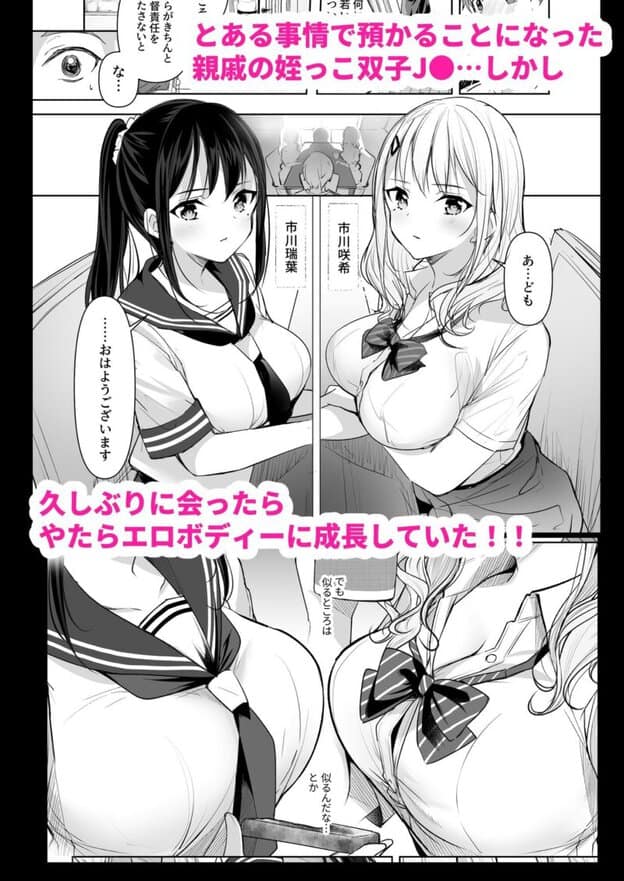 僕の姪は巨乳でビッチな双子JK〜弄ばれる性活事情〜 無料サンプル画像(2)