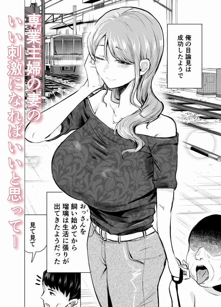 妻がおっさんに寝取られた話 無料サンプル画像(3)