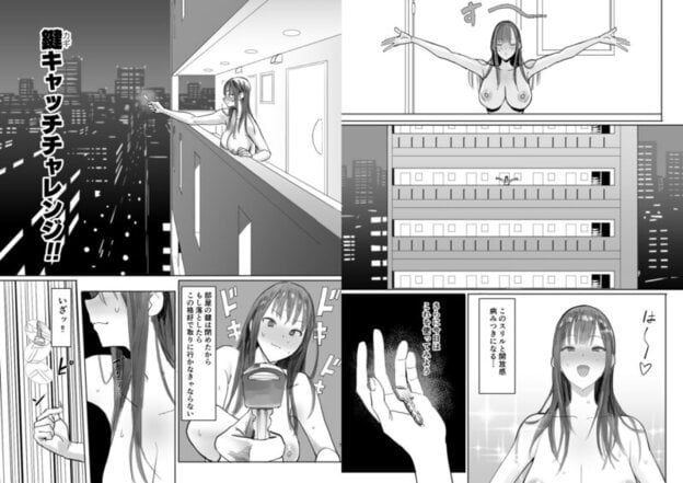 鍵キャッチチャレンジ 無料サンプル画像(2)