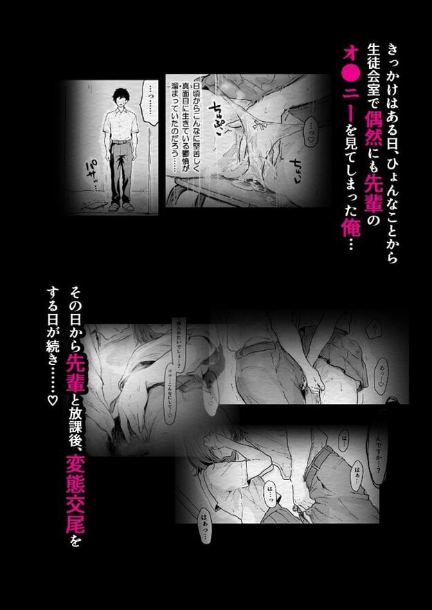みんなの憧れの生徒会長は実は淫乱痴女で俺と放課後,変態交尾しまくり(はーと) 無料サンプル画像(2)