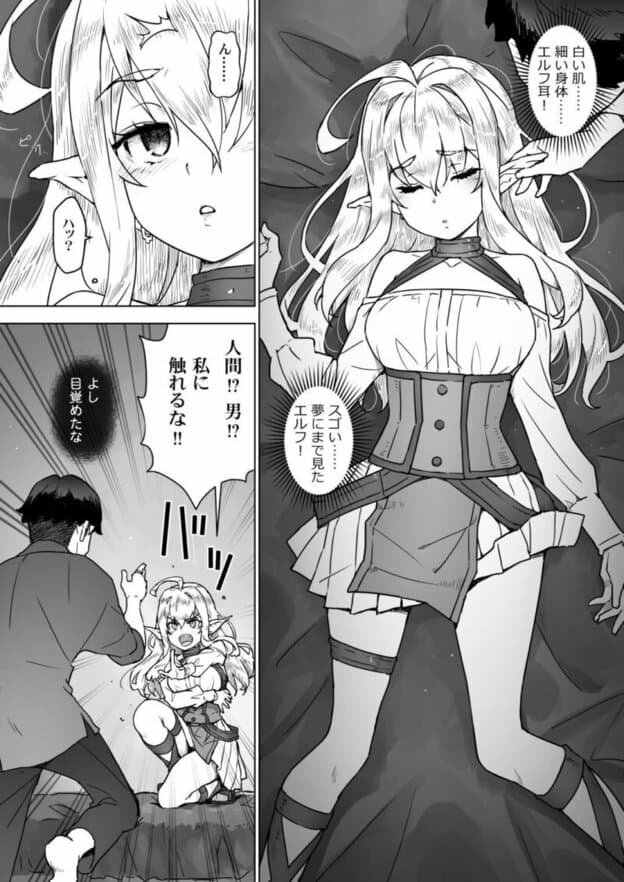 異世界エルフはイかされない! 無料サンプル画像(3)